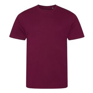Ecologie Mens Cascades T-Shirt / Burgundy